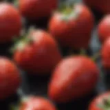Close-up view of strawberries showcasing their vibrant color and texture highlighting acidity
