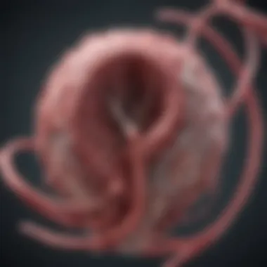 Innovative Treatment Approaches for Aneurysms Illustration showcasing treatment methods for vascular aneurysms