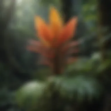 Vibrant flora of the Amazon rainforest showcasing its diversity and beauty