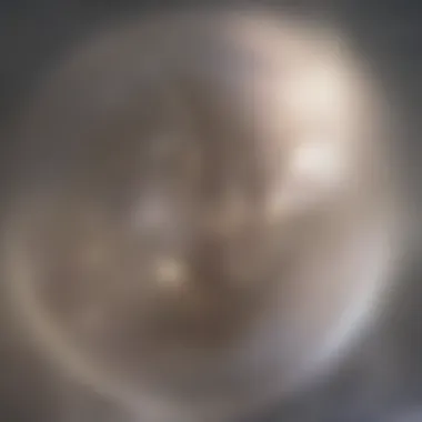 Fertilization: The Union of Gametes Visual representation of fertilization process
