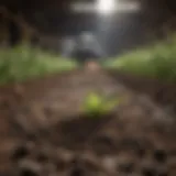 Diverse types of fertilizer manure in a sustainable farm setting