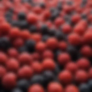 The Nutrient-Dense World of Berries A vibrant assortment of berries showcasing their rich colors and textures.