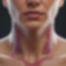 Global map highlighting regions with high thyroid cancer rates