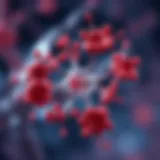 Hormone Therapy Mechanisms A visual representation of hormone therapy mechanisms in cancer treatment.