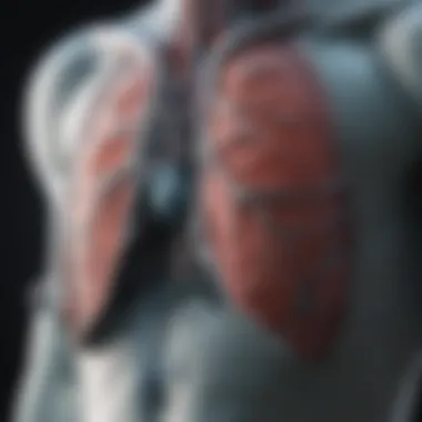 Visualization of advanced CT imaging technologies used in diagnosing pulmonary conditions