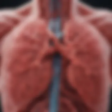 Infographic depicting the mechanisms of blood clot formation in the lungs