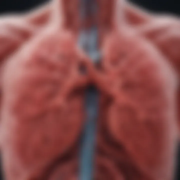 Infographic depicting the mechanisms of blood clot formation in the lungs