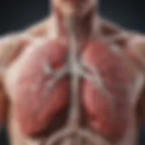 Detailed illustration of lung anatomy highlighting areas affected by pulmonary embolism