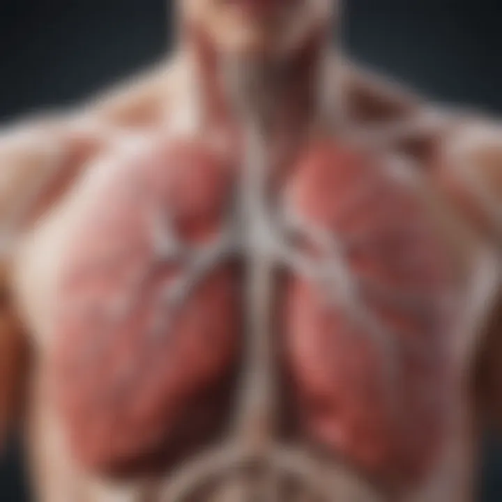 Detailed illustration of lung anatomy highlighting areas affected by pulmonary embolism