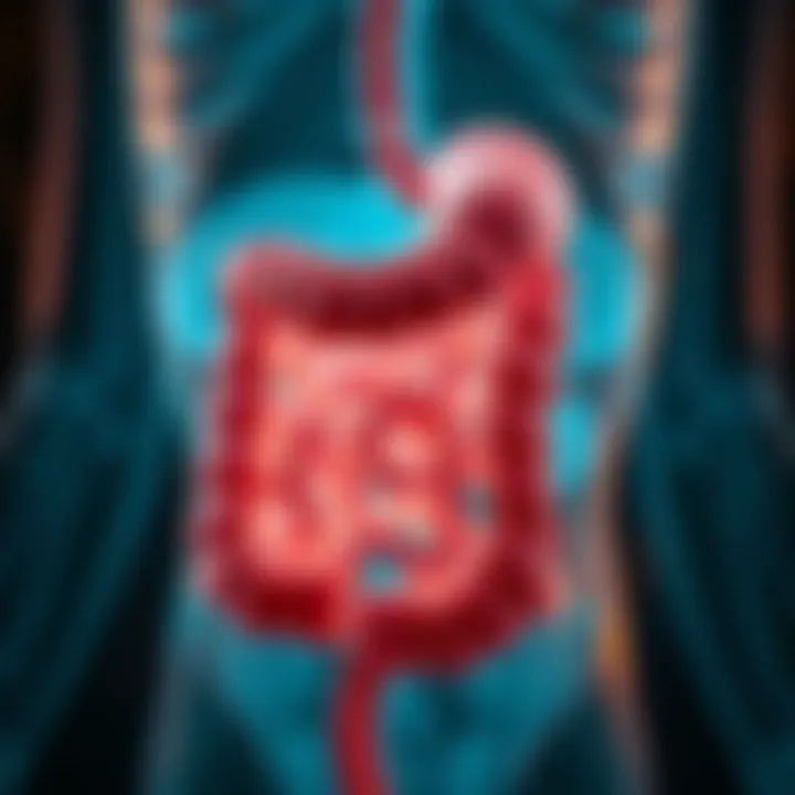 Illustration of gastrointestinal tract highlighting problem areas