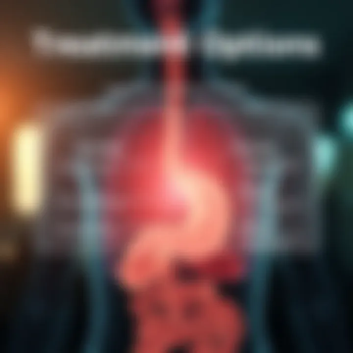 Diagram showing potential treatment options for gastrointestinal issues