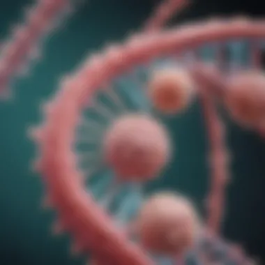 The Structure and Function of the BRCA Gene Illustration of BRCA gene structure and function