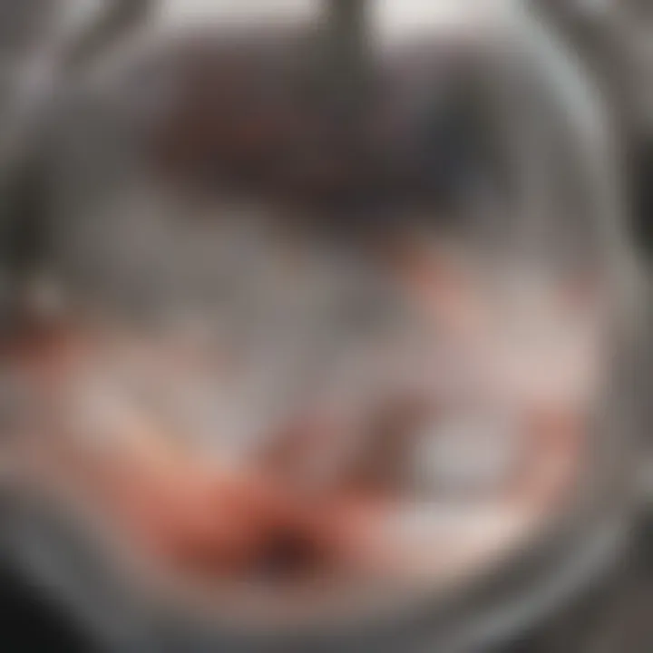 Illustration of capillary tube structure with blood flow.