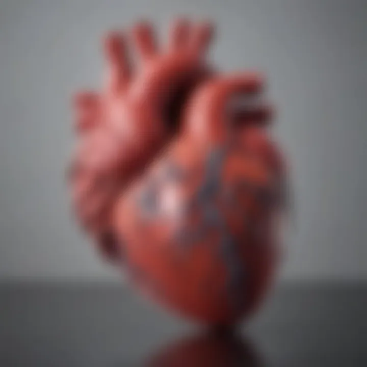 Visual representation of misconceptions about heart failure