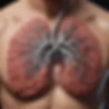 Visualization of COPD effects on lungs