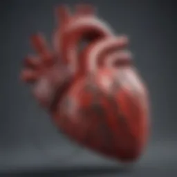 Illustration of the heart and blood pressure dynamics