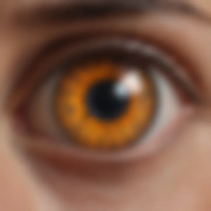 Visual representation of visual field loss in glaucoma patients