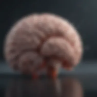 Brain activity during a febrile seizure Illustration showing brain activity during a seizure