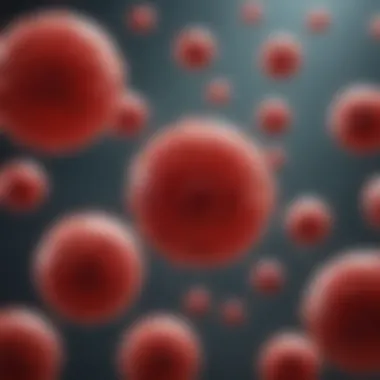 Physiological Roles of Red Blood Cells Diagram illustrating the physiological roles of red blood cells in oxygen transport.