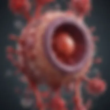 Mechanisms of Thrombocytopenia Diagram illustrating thrombocytopenia mechanisms