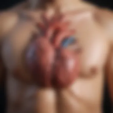 Common Triggers of Heart Palpitations Diagram showing various causes of heart palpitations