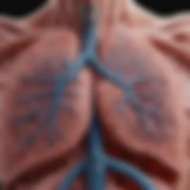 Diagram illustrating the pathophysiology of interstitial lung disease