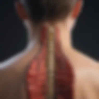Causes of Lumbar Kyphosis Diagram showing the causes of lumbar kyphosis