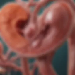 Illustration depicting kidney function and GFR