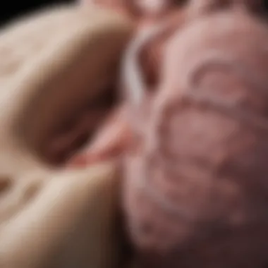 Diagnostic imaging techniques for lung nodules