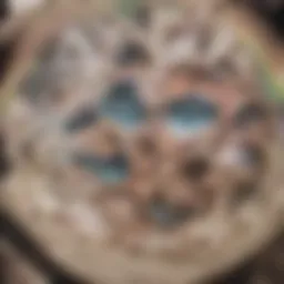 Anatomy of the kidneys illustrating renal structure