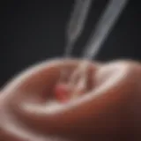 Detailed illustration of Paragard IUD placement