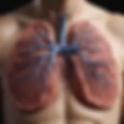 Anatomy of the pleura and lungs
