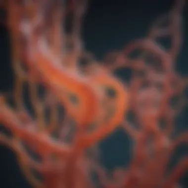The Nephron: Key Player in Protein Filtration Detailed diagram illustrating the nephron's role in protein filtration