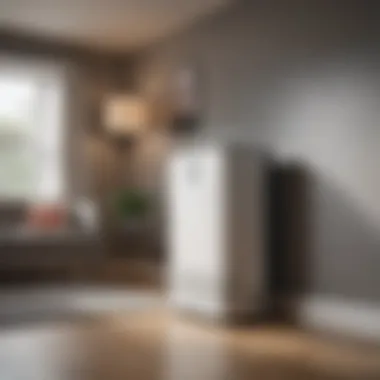Effective Installation of Radon Air Purifiers Guidelines for installing a radon air purifier effectively