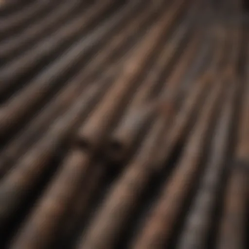 Different types of rebar showcasing various diameters