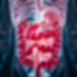 Illustration depicting the anatomical aspects of Crohn's disease
