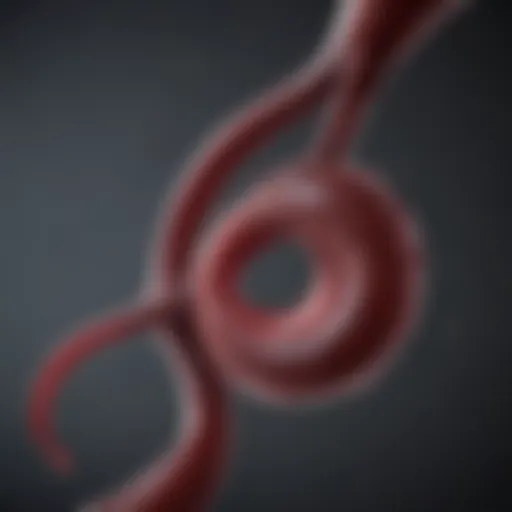 Illustration of sickle cell hemoglobin structure