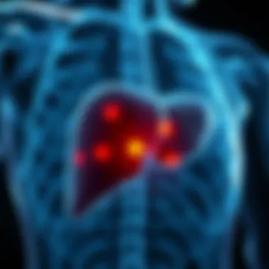Liver Anatomy with Lesion Highlights Illustration of liver anatomy highlighting lesions