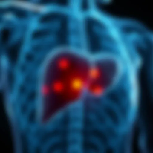 Liver Anatomy with Lesion Highlights Illustration of liver anatomy highlighting lesions
