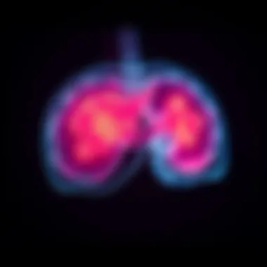 Diagnostic Imaging of Liver Spots Diagnostic imaging of liver spots
