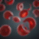 Visualization of sickle-shaped red blood cells