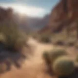 A panoramic view of the Southwest desert landscape showcasing unique rock formations and cacti.