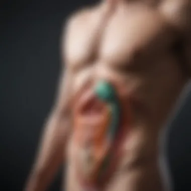 Treatment options for gallbladder dysfunction