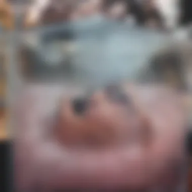 Characteristics of a Receding Hairline Visual representation of a receding hairline