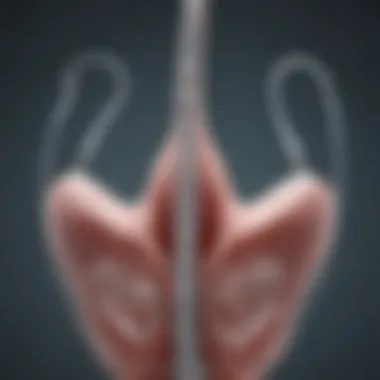 Types of Intrauterine Devices Detailed illustration of various types of IUDs available