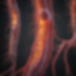 Detailed illustration of the metastatic pathways from bladder cancer to kidney tissue.