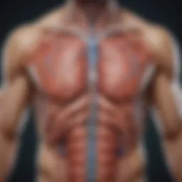 Diagram illustrating the anatomical connections between the abdomen and respiratory system