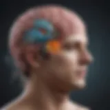 A brain illustration highlighting neurological pathways related to Asperger's Syndrome