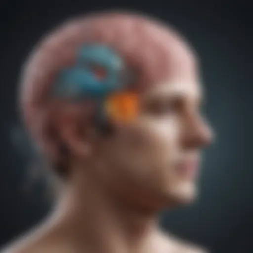 A brain illustration highlighting neurological pathways related to Asperger's Syndrome