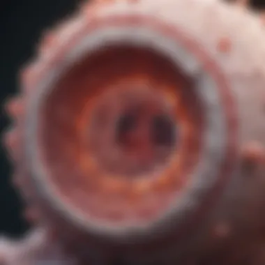 Microscopic Examination of Transitional Cell Carcinoma Microscopic view of transitional cell carcinoma